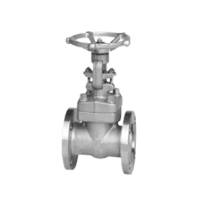 Stainless Steel Forging